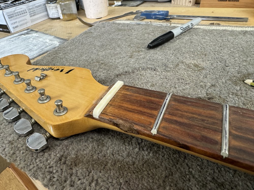 Another photo of the maple neck with rosewood fretboard but this time the bone nut is shaped to be lower.