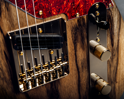 The close up of the gold bridge of a t-style guitar with a Seymor Duncan  hotrails pickup in it.