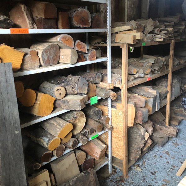 A photo of a row of shelves in a large shed stacked with bits of tree. None look particularly suitable for guitar building.