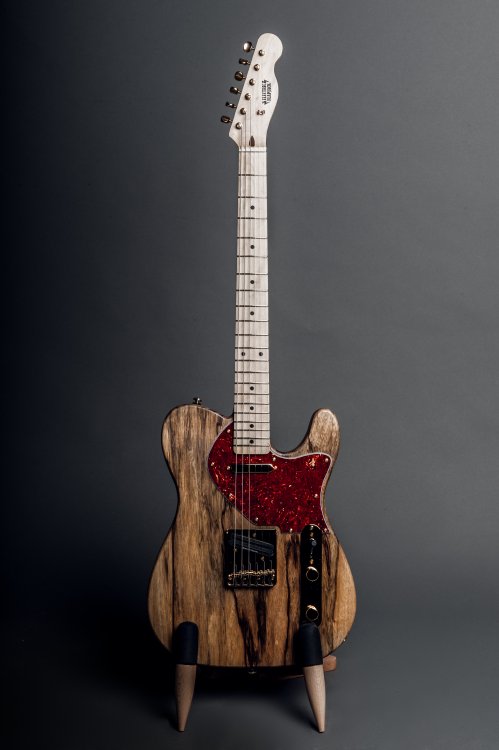 The chuncaster: a telecaster style guitar with a maple neck/fretboard, a dark korina wood body, a red pickguard, and gold hardware.