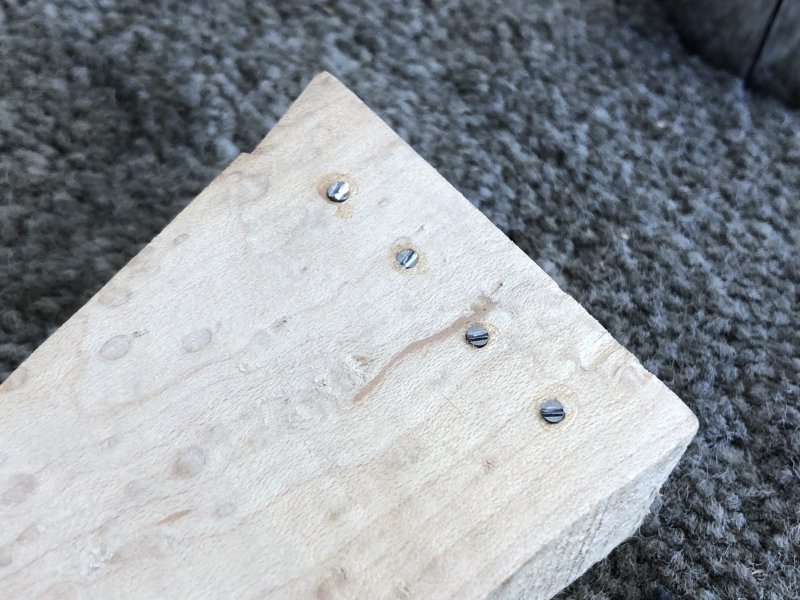 A close up of a row of 4 holes drilled into wood that have been filled with the silvery coloured dowel and then cut. You can see on each one clear marks from where the cutters  snipped it. leaving a raised ridge along the middle.