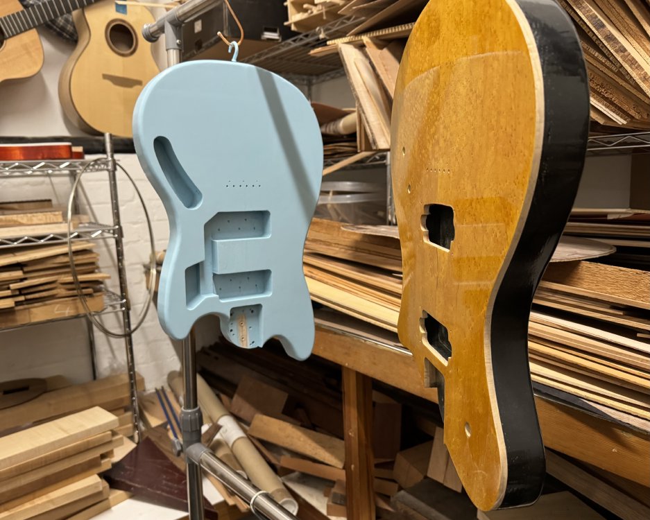A photo of two guitar bodies hung up in a wood store: in the foreground is the yellow and black one we've been talking about this week, and behind it is the blue one from last week's notes. In the face of the yellow one you can see the reflection in the gloss finish of the blue body.